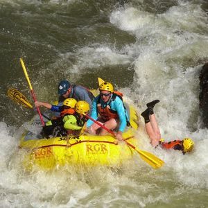Meet your Posher, Terry